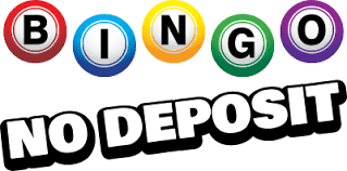 Playing No Deposit Bingo